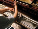 保养与维护 | 钢琴维护与钢琴在使用中常见的问题