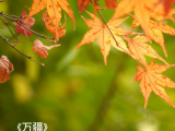 钢琴弹奏 |《万疆》- 沐格音悦史佳宁老师